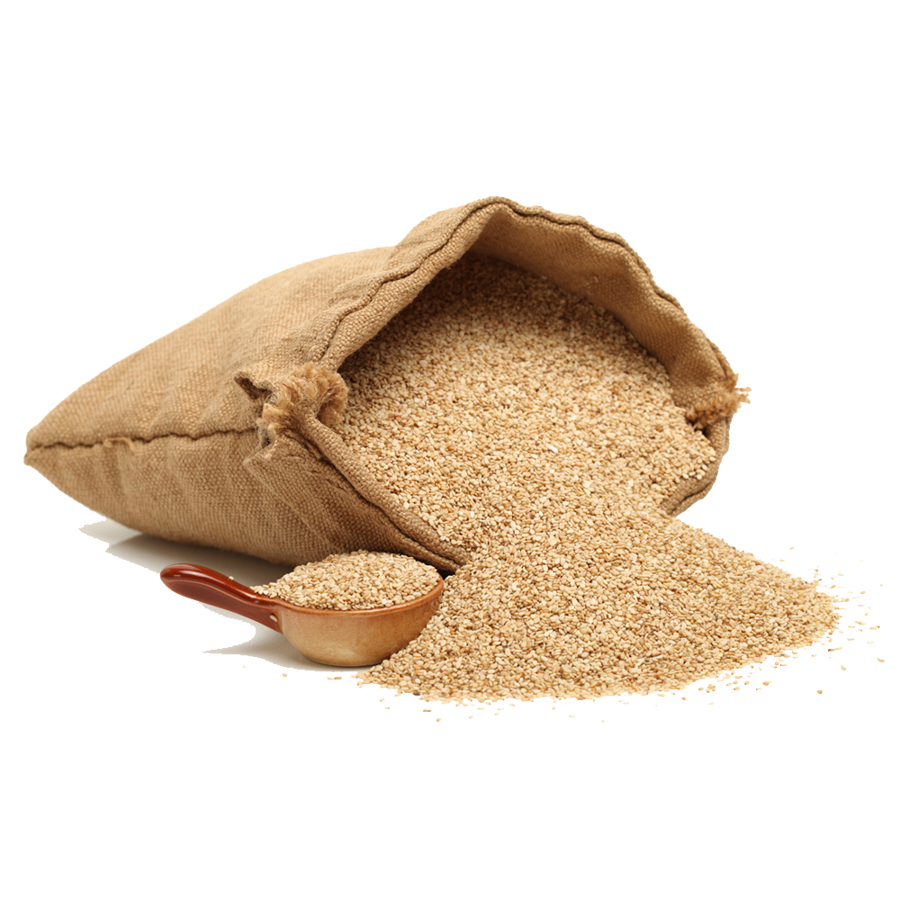 Seeds
