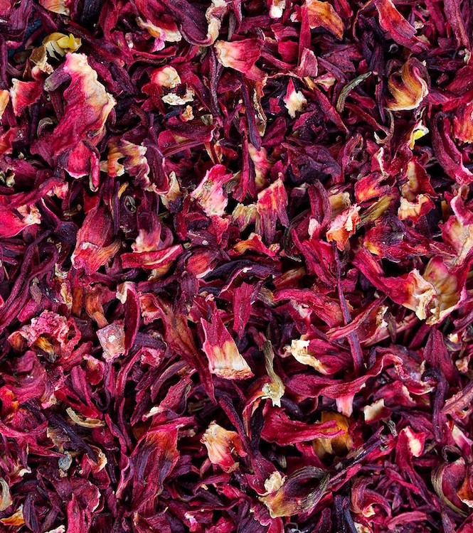 Hibiscus