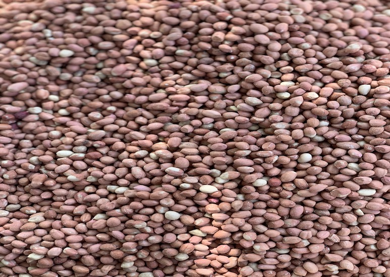 Single Product Image