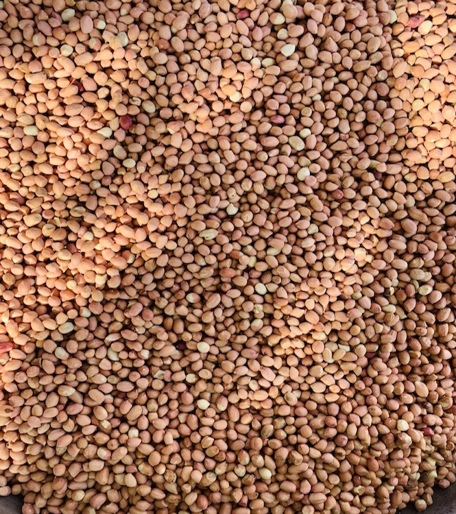Peanuts